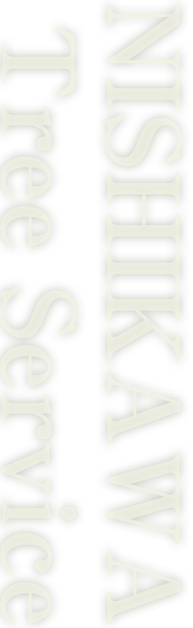 NISHIKAWA tree service