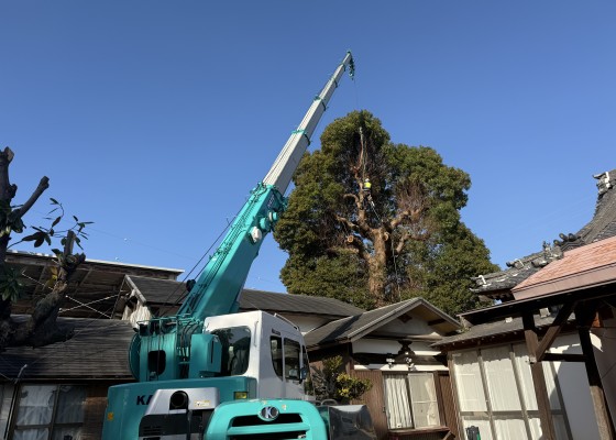 伐採　特殊伐採　大阪　兵庫　奈良　