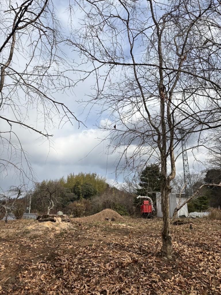 伐採　大阪　兵庫　奈良