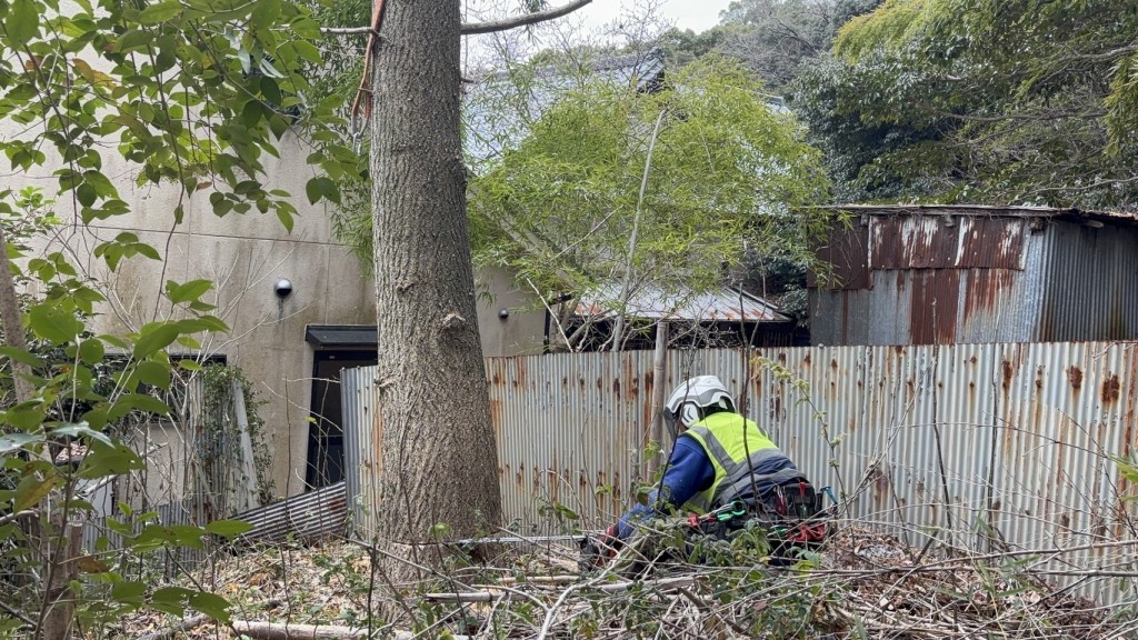 伐採　大阪　兵庫　奈良