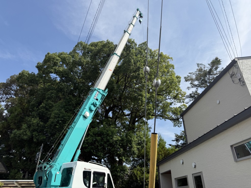 伐採　特殊伐採