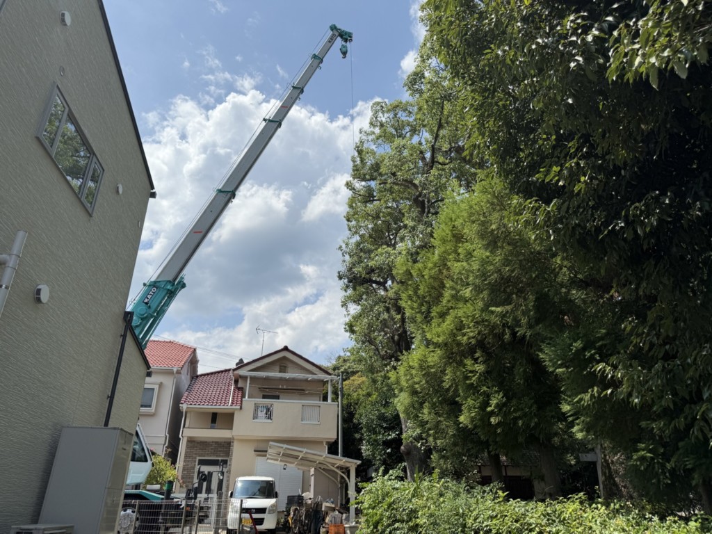 伐採　特殊伐採