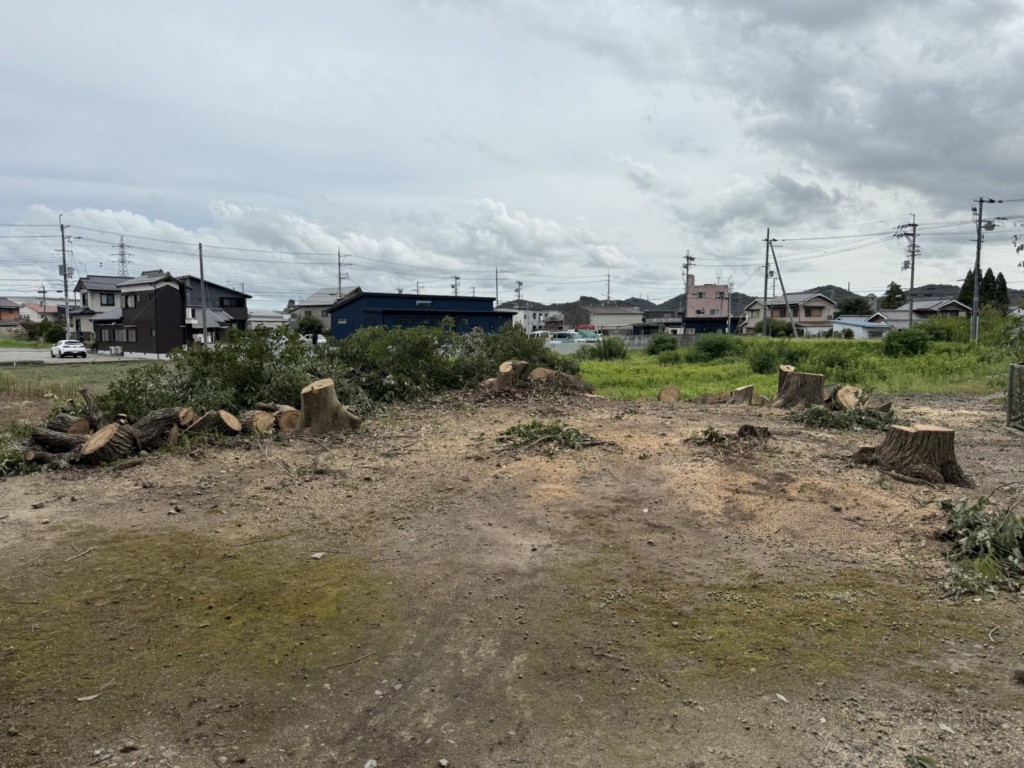 伐採　特殊伐採