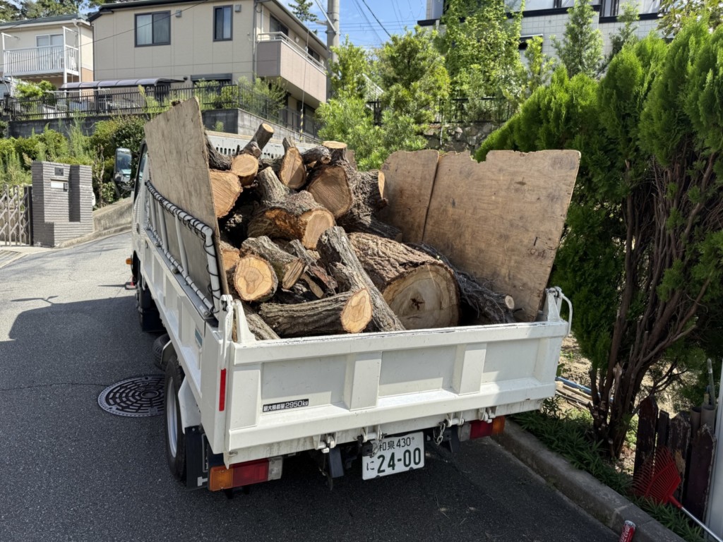 伐採　特殊伐採