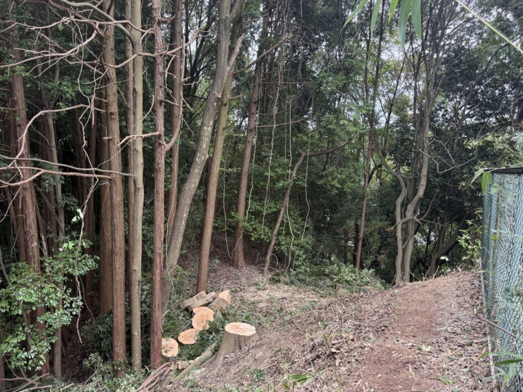 伐採　特殊伐採