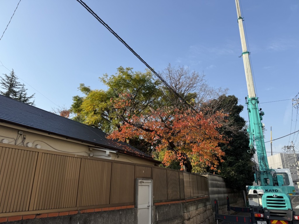 伐採　特殊伐採