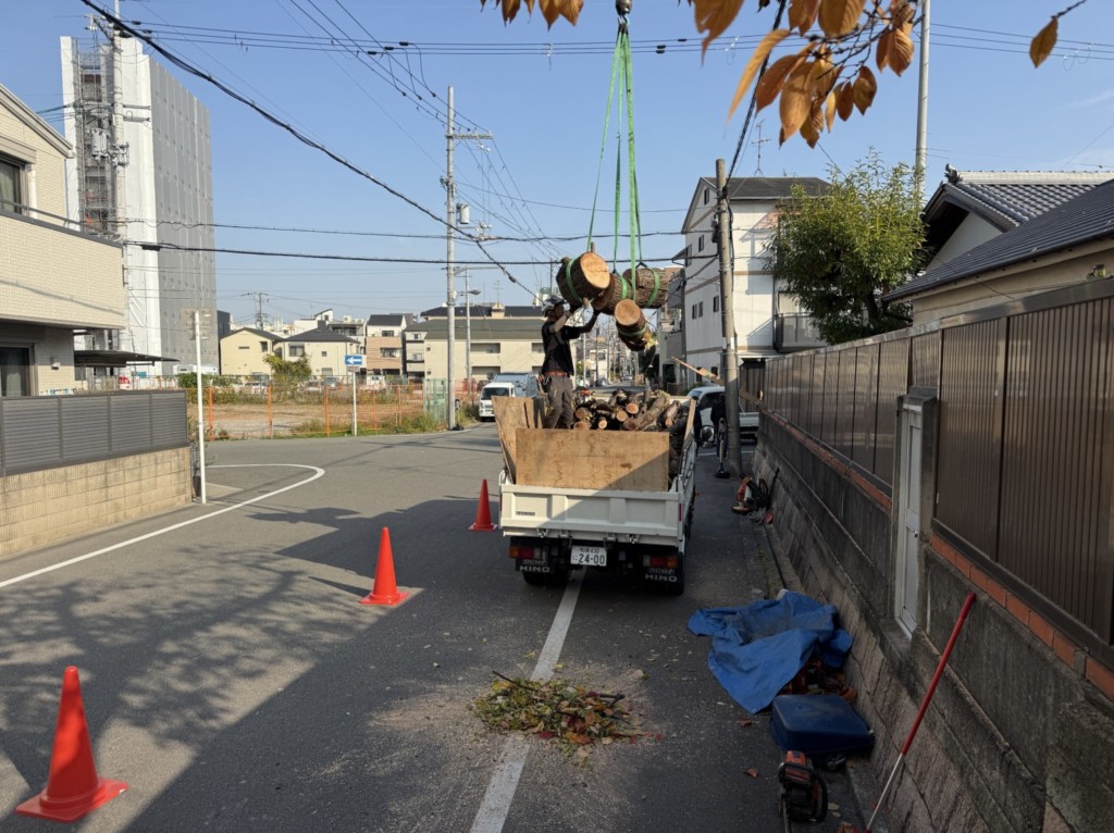 伐採　特殊伐採