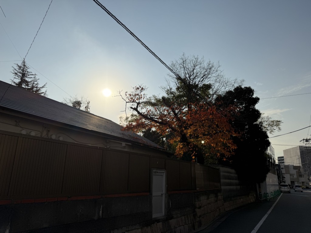 伐採　特殊伐採