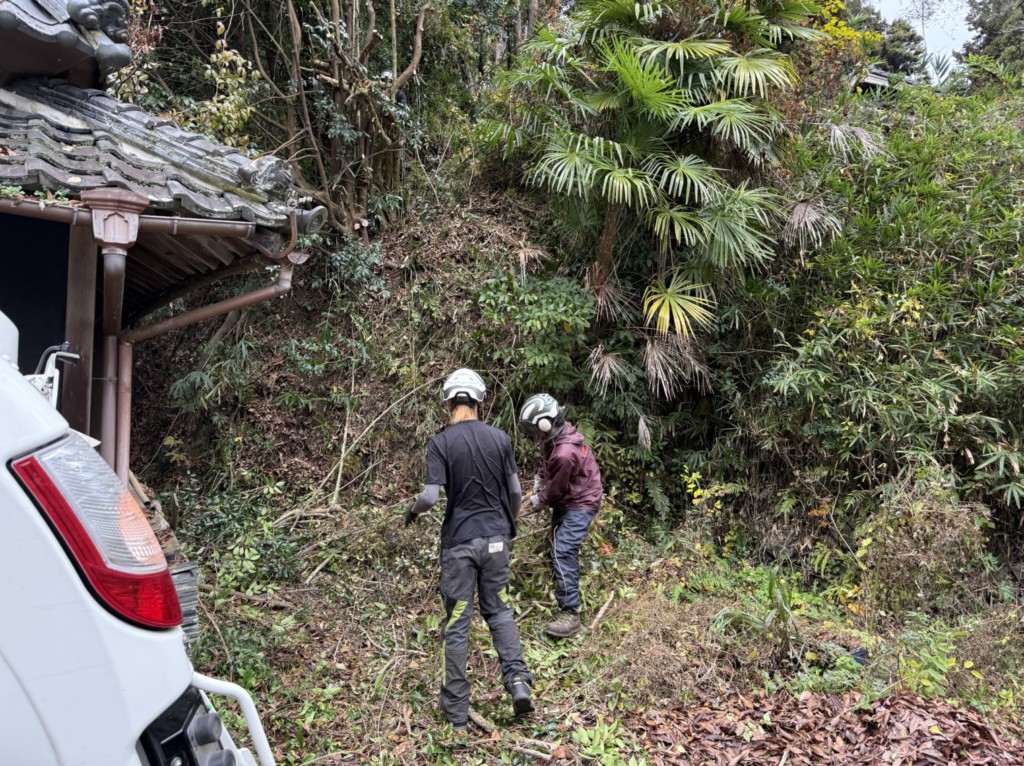 伐採　特殊伐採