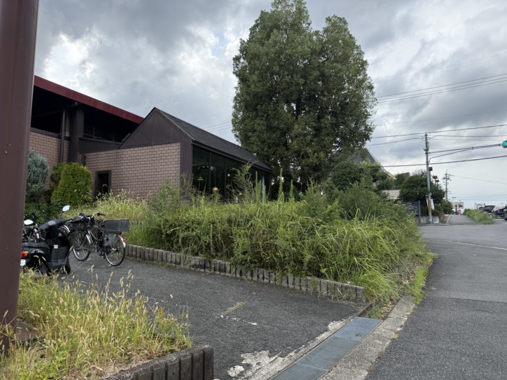 伐採　特殊伐採