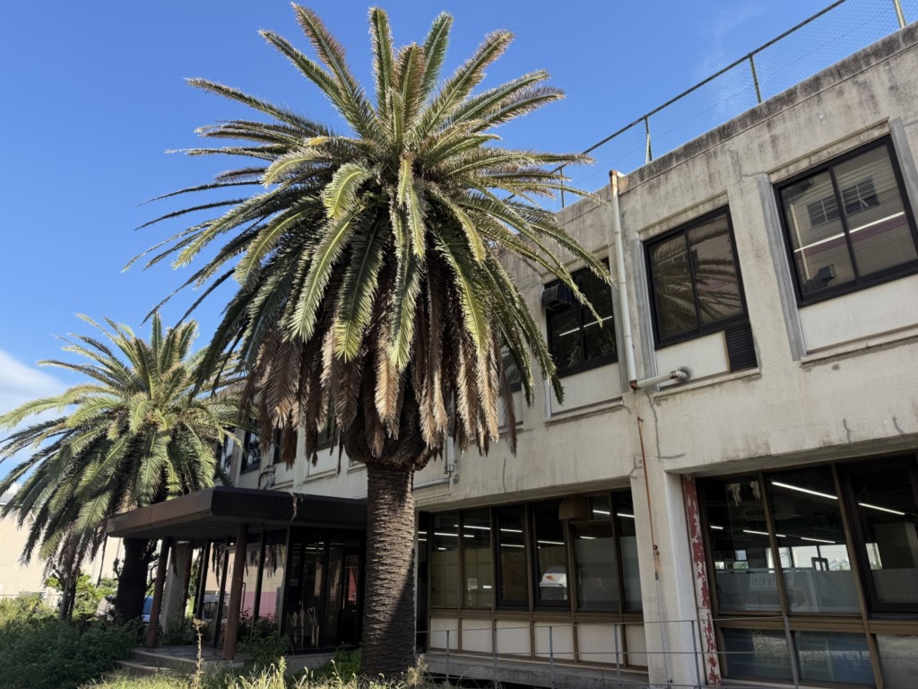 伐採　特殊伐採