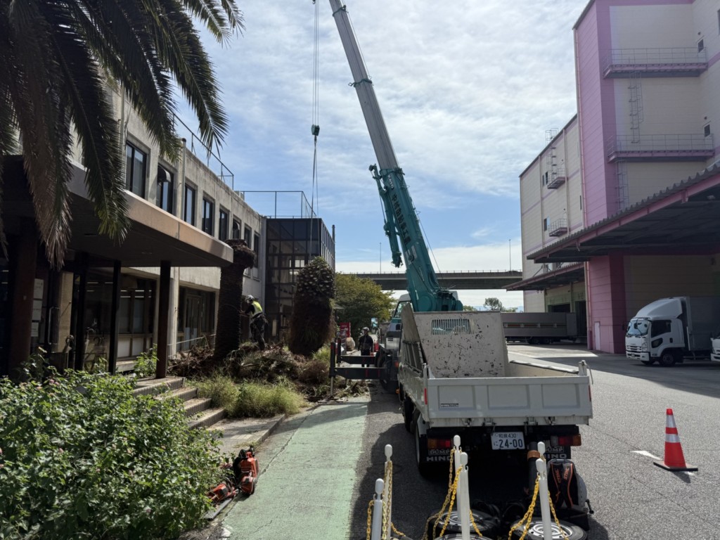 伐採　特殊伐採