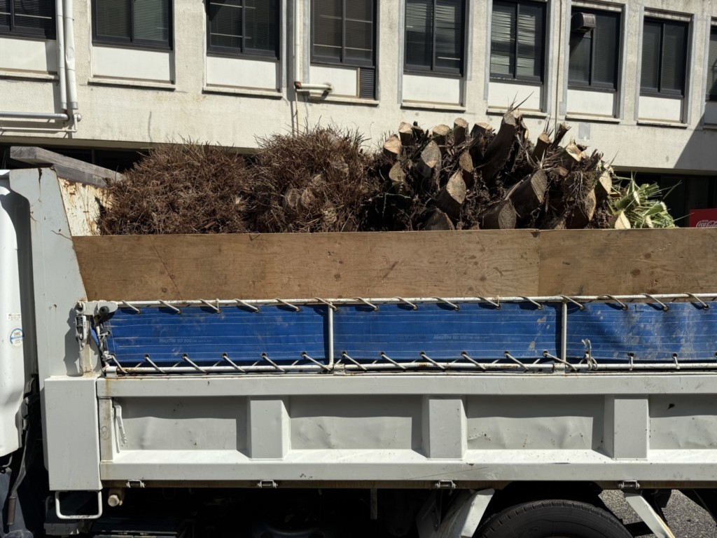 伐採　特殊伐採