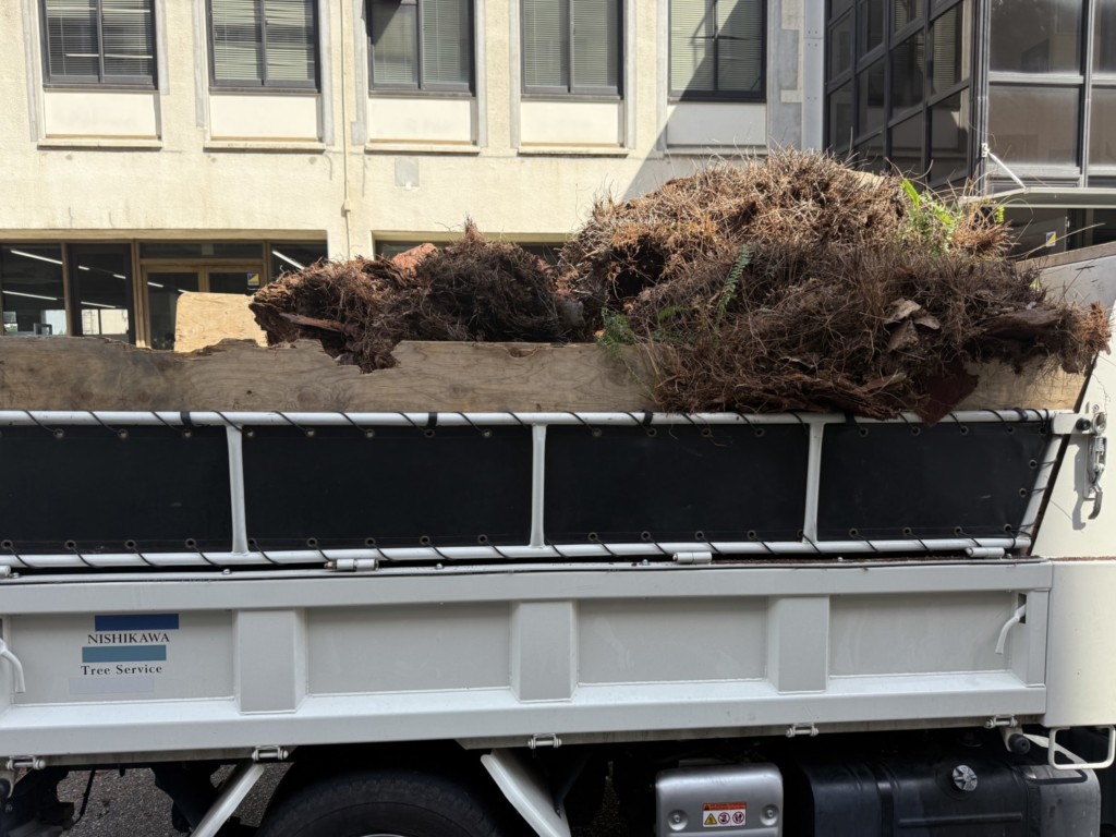 伐採　特殊伐採