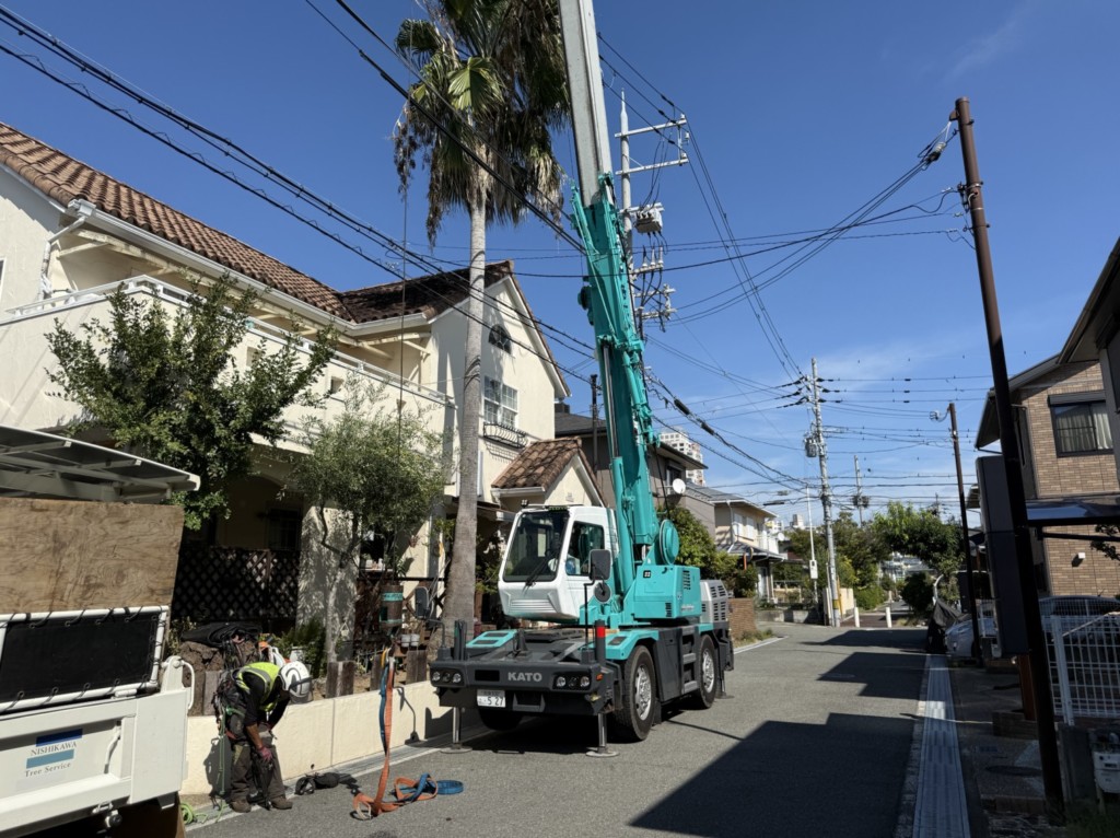 伐採　特殊伐採　大阪