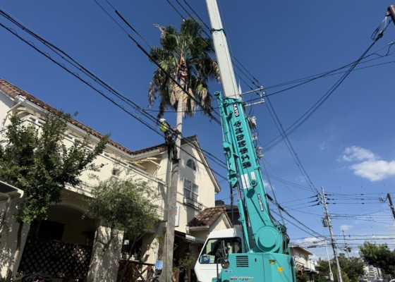 伐採　特殊伐採　大阪