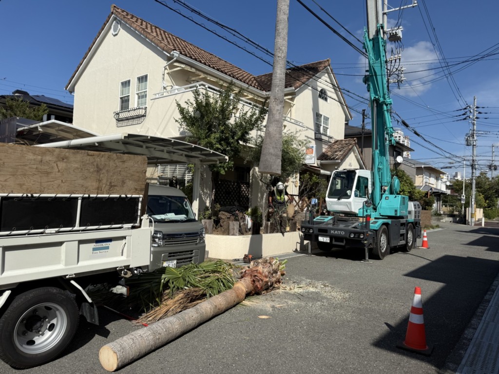 伐採　特殊伐採　大阪　
