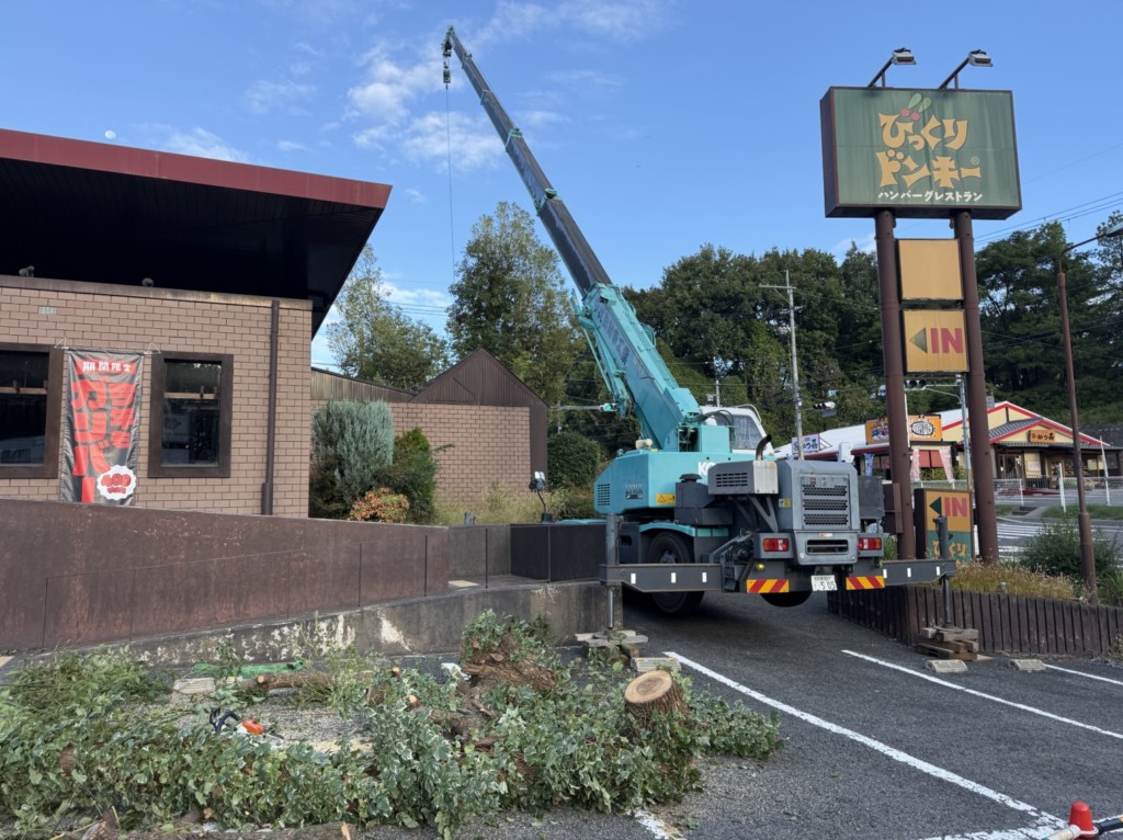 伐採　特殊伐採