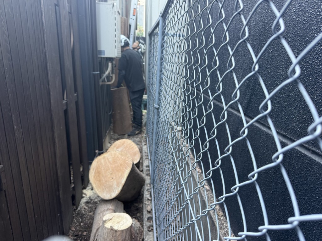 伐採　特殊伐採